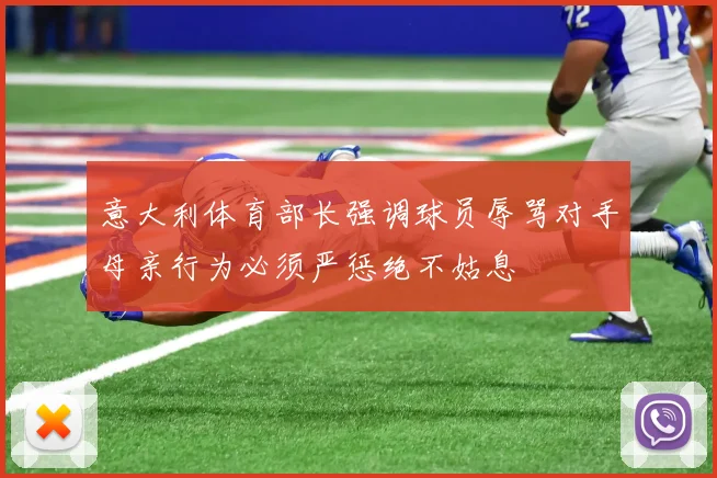 意大利体育部长强调球员辱骂对手母亲行为必须严惩绝不姑息