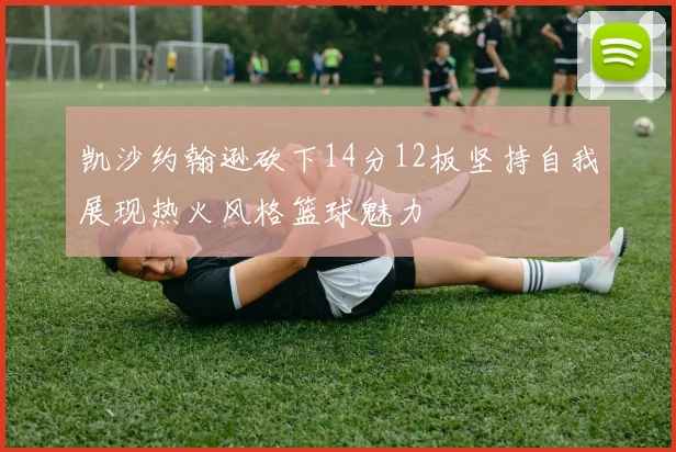 凯沙约翰逊砍下14分12板坚持自我展现热火风格篮球魅力