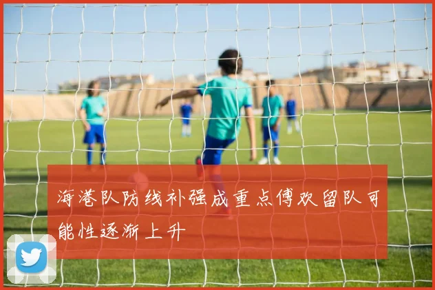 海港队防线补强成重点傅欢留队可能性逐渐上升