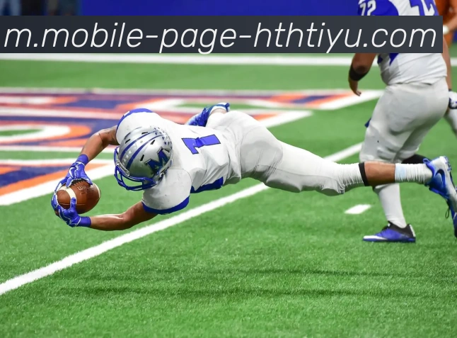 App Interface Preview