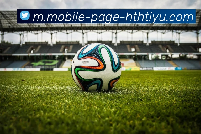 华体会体育APP 封面图